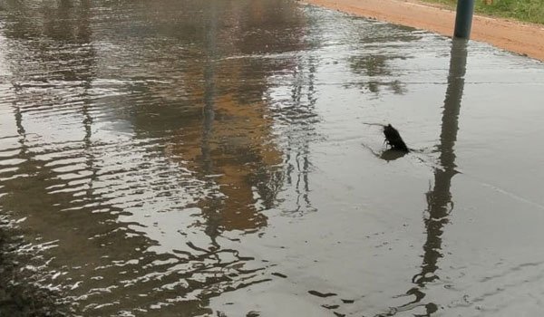 best-concrete-mix-in-avinasi-coimbatore